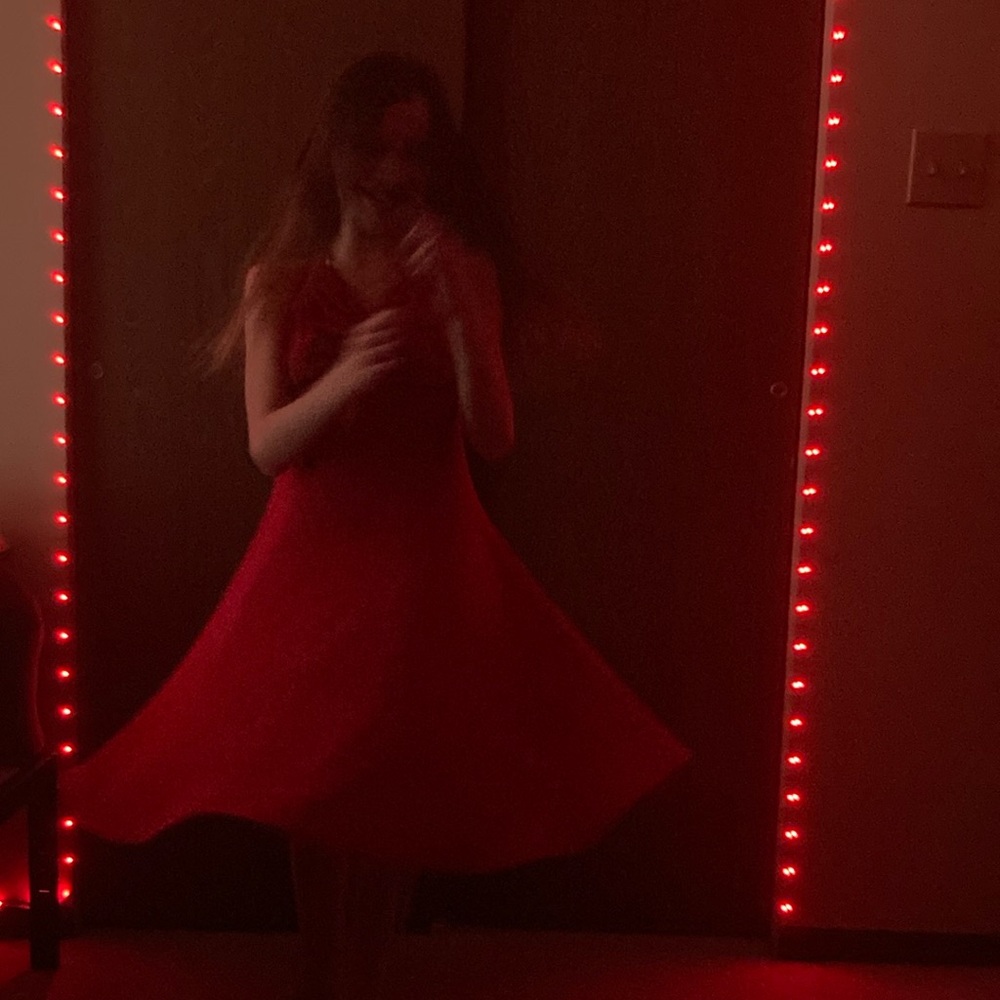 Red Velvet Dress - Picture 5 of 5